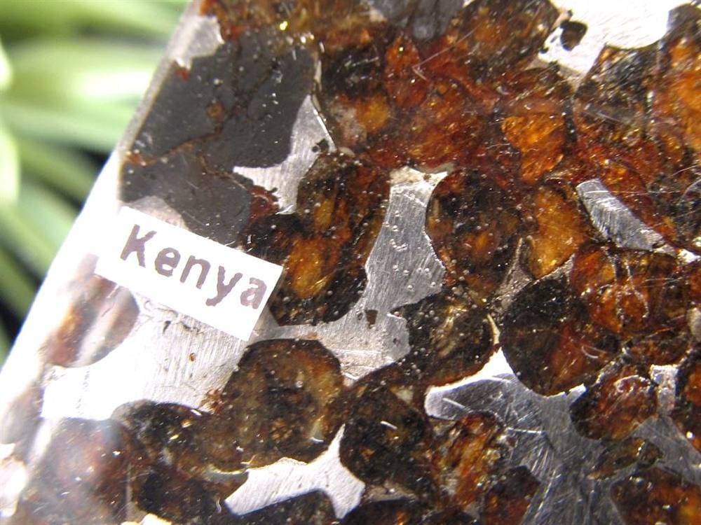 セリコ隕石 パラサイト隕石 プレート SERICHO 石鉄隕石