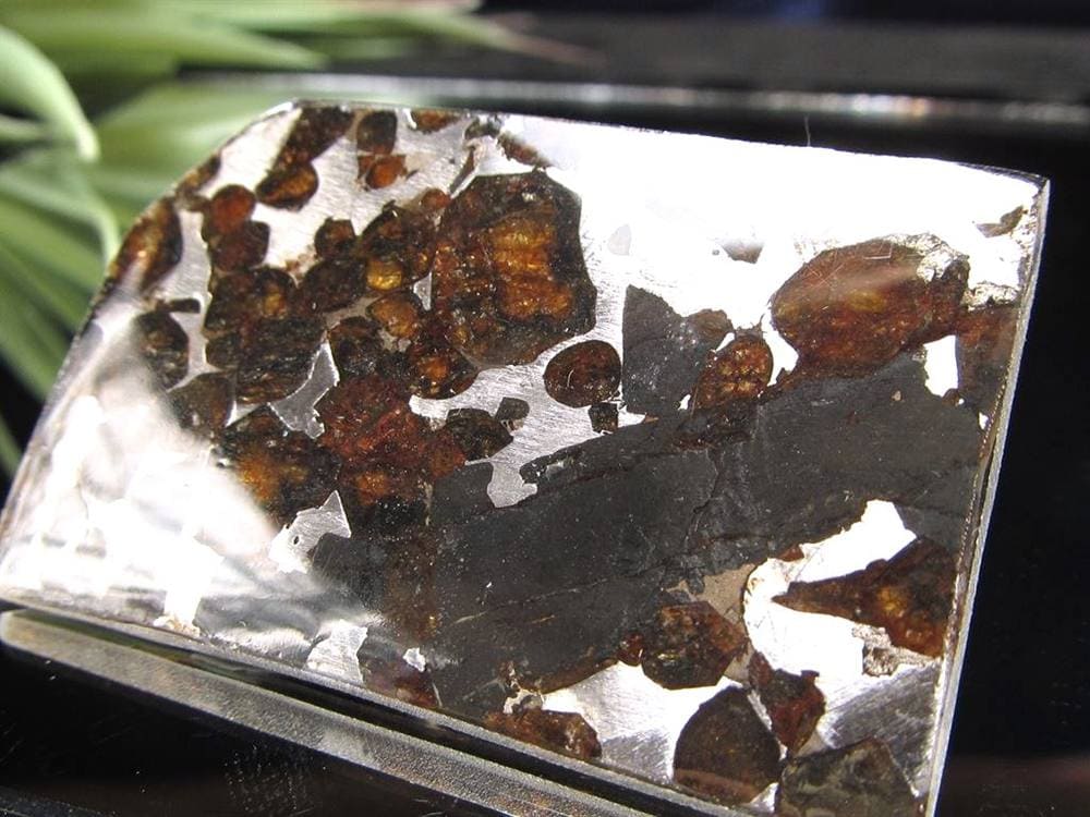 セリコ隕石 パラサイト隕石 プレート SERICHO 石鉄隕石