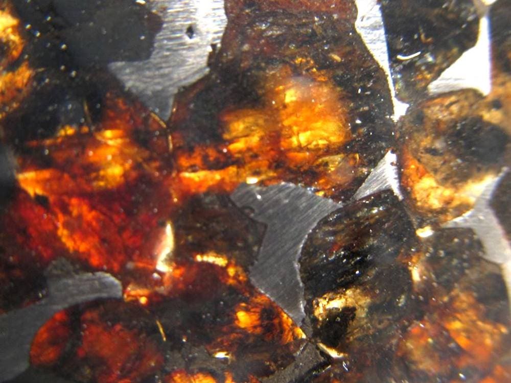 セリコ隕石 パラサイト隕石 プレート SERICHO 石鉄隕石