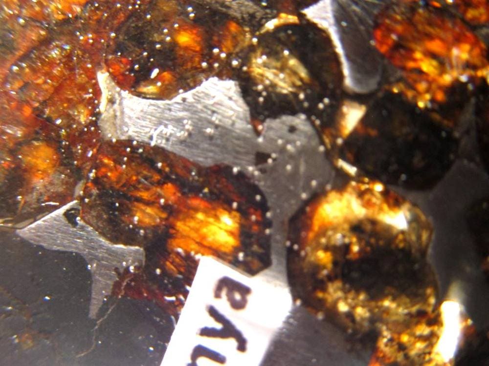 セリコ隕石 パラサイト隕石 プレート SERICHO 石鉄隕石