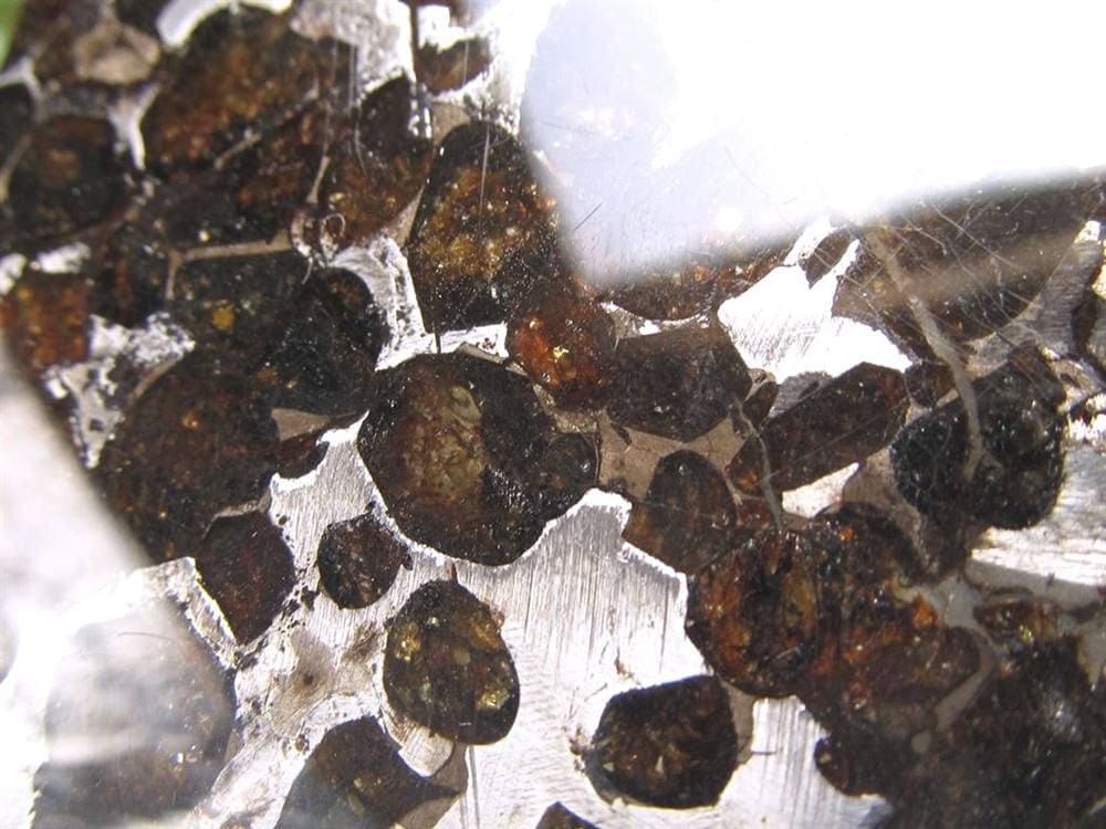 セリコ隕石 パラサイト隕石 プレート SERICHO 石鉄隕石