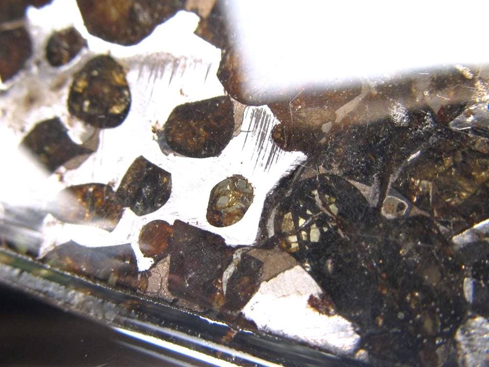 セリコ隕石 パラサイト隕石 プレート SERICHO 石鉄隕石