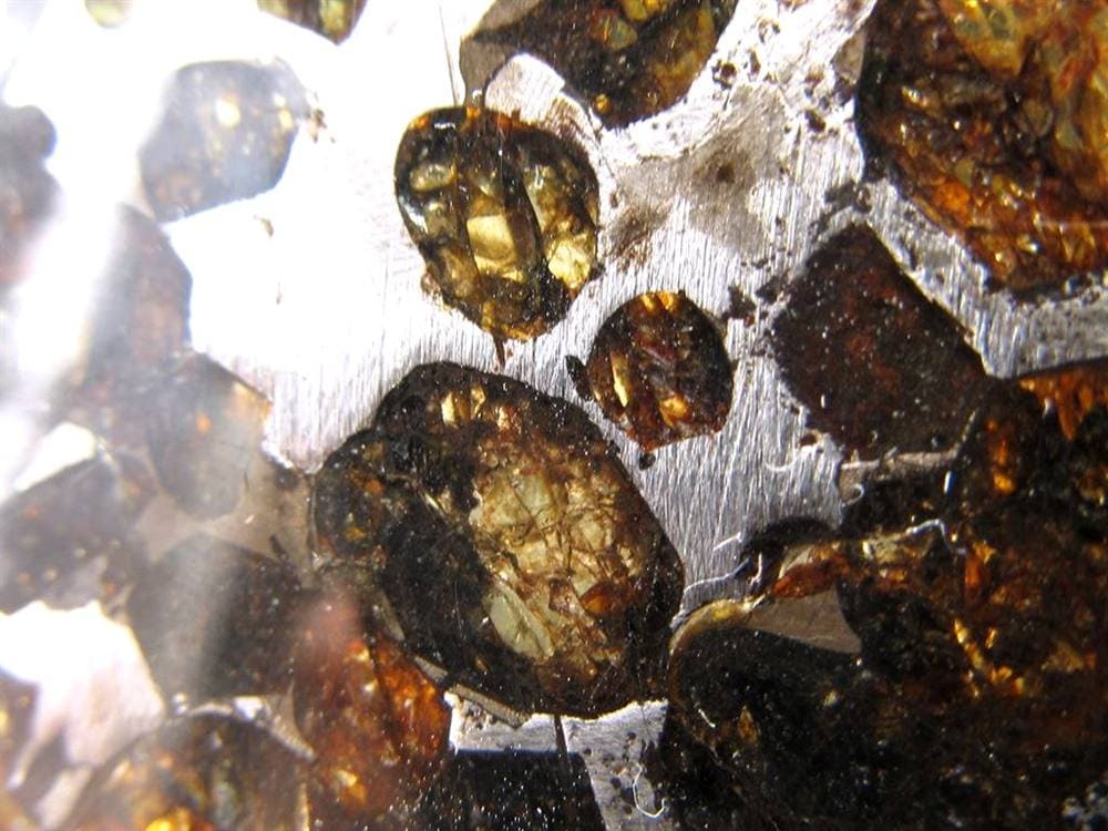 セリコ隕石 パラサイト隕石 プレート SERICHO 石鉄隕石