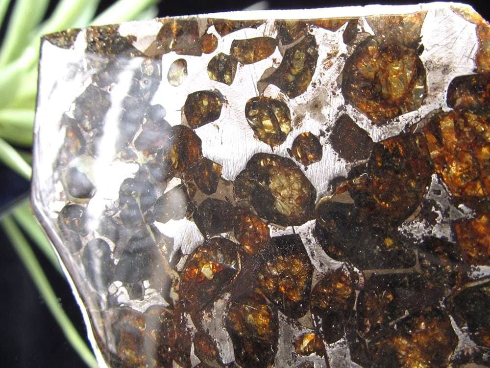 セリコ隕石 パラサイト隕石 プレート SERICHO 石鉄隕石