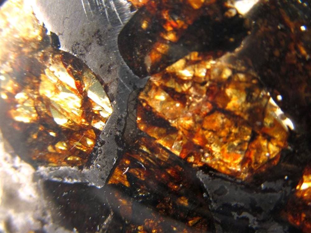 セリコ隕石 パラサイト隕石 プレート SERICHO 石鉄隕石