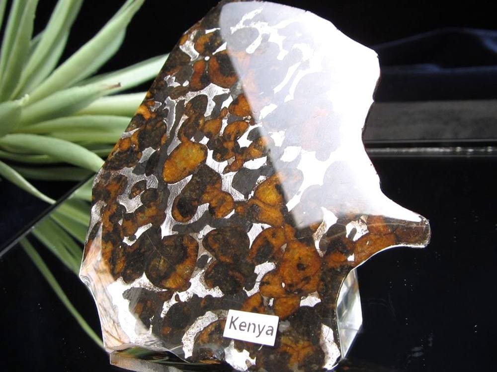 セリコ隕石 パラサイト隕石 プレート SERICHO 石鉄隕石