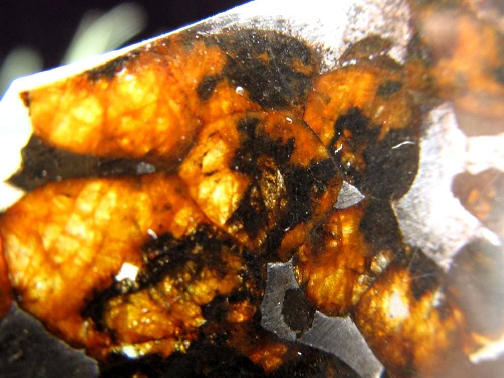 セリコ隕石 パラサイト隕石 プレート SERICHO 石鉄隕石