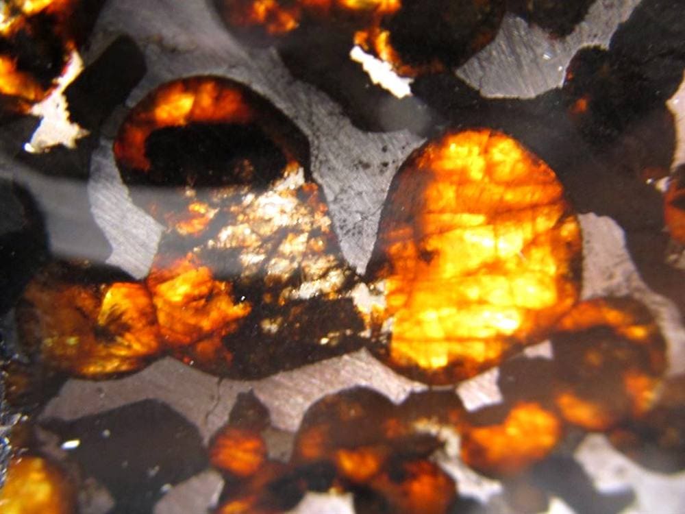 セリコ隕石 パラサイト隕石 プレート SERICHO 石鉄隕石