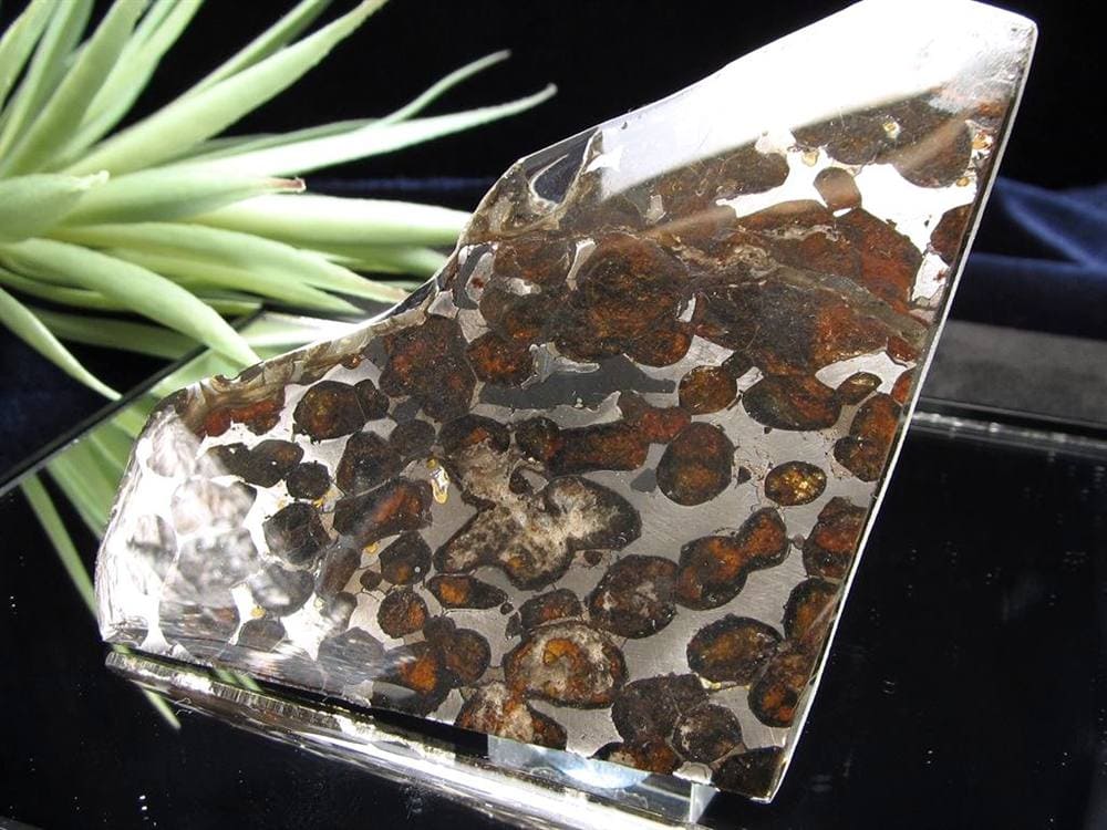 セリコ隕石 パラサイト隕石 プレート SERICHO 石鉄隕石