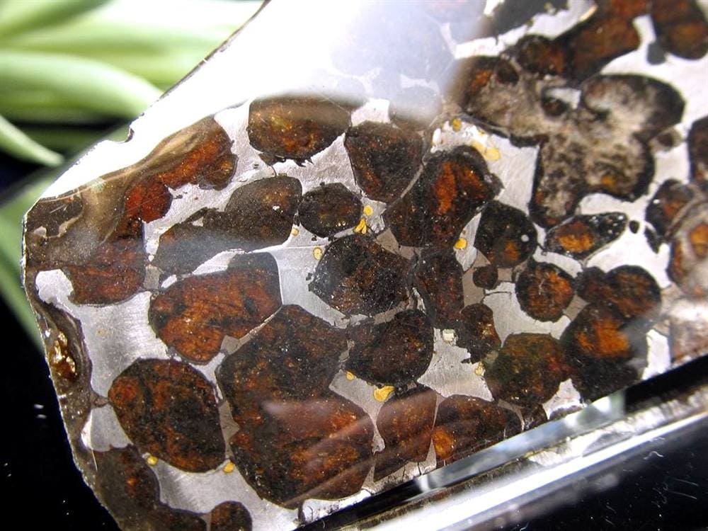 セリコ隕石 パラサイト隕石 プレート SERICHO 石鉄隕石