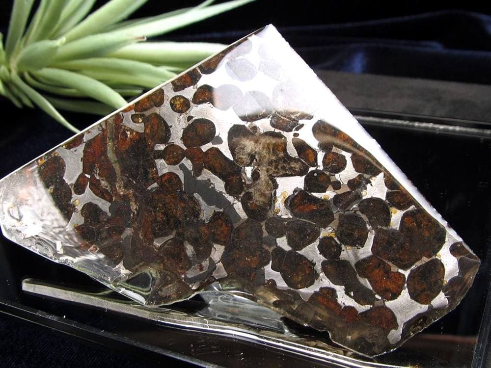 セリコ隕石 パラサイト隕石 プレート SERICHO 石鉄隕石