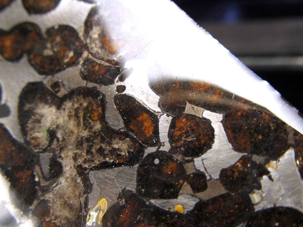 セリコ隕石 パラサイト隕石 プレート SERICHO 石鉄隕石