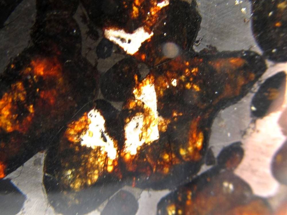 セリコ隕石 パラサイト隕石 プレート SERICHO 石鉄隕石