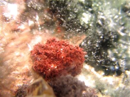 龍神ガーデンクォーツ 庭園水晶 丸玉 置物 ガーデンクォーツ ファントム