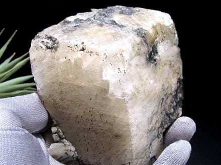 フェナカイト シヴァ 仏 彫刻 置物