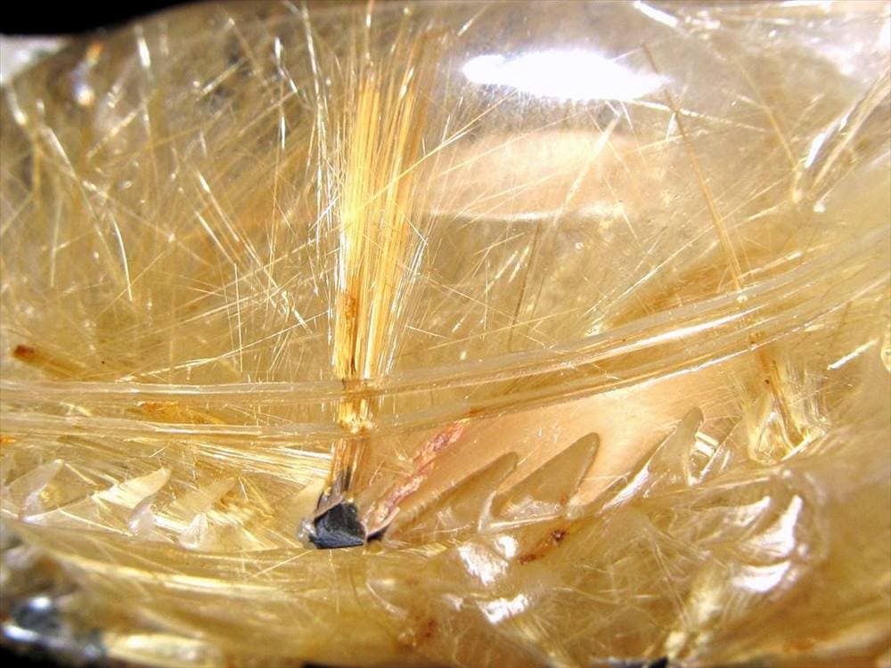 龍亀 ゴールドルチル 彫刻置物 ロングイ 天然石