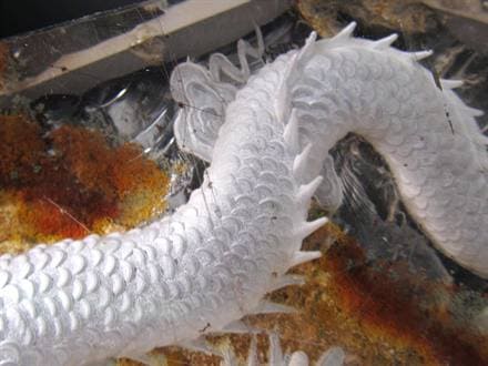 ガーデンルチルクォーツ 庭園水晶 龍神 五本爪龍 置物