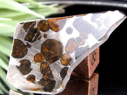 セリコ隕石 パラサイト隕石 プレート SERICHO 石鉄隕石