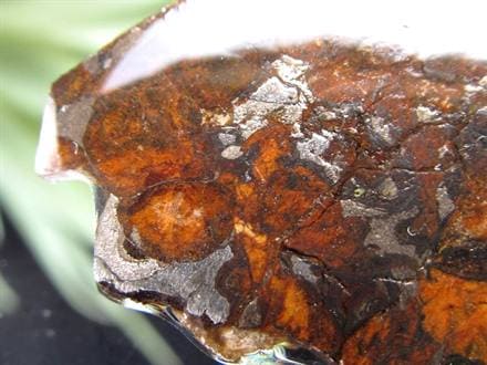 セリコ隕石 パラサイト隕石 プレート SERICHO 石鉄隕石
