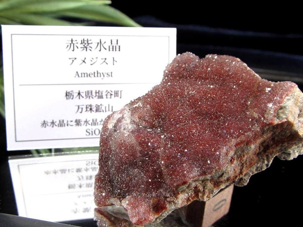 アメジスト 紫水晶 クラスター 国産 浄化