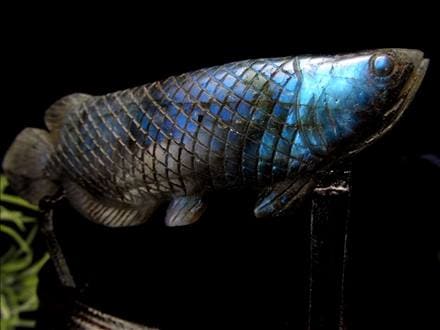 アロワナ 置物 ラブラドライト 龍魚 彫刻