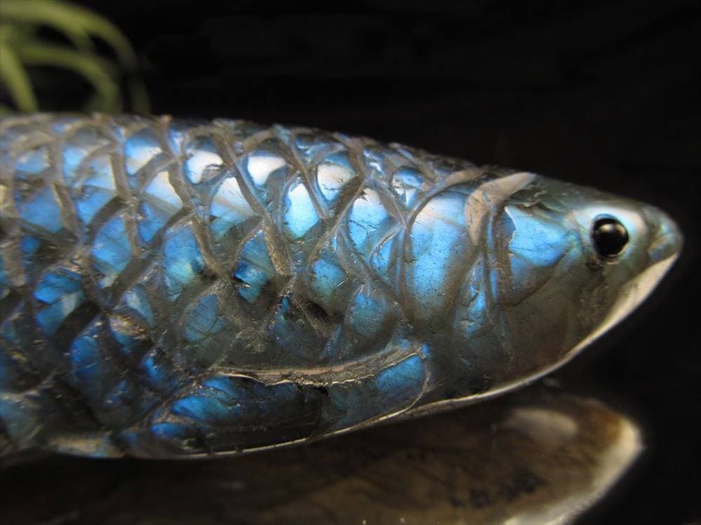 アロワナ 置物 ラブラドライト 龍魚 彫刻