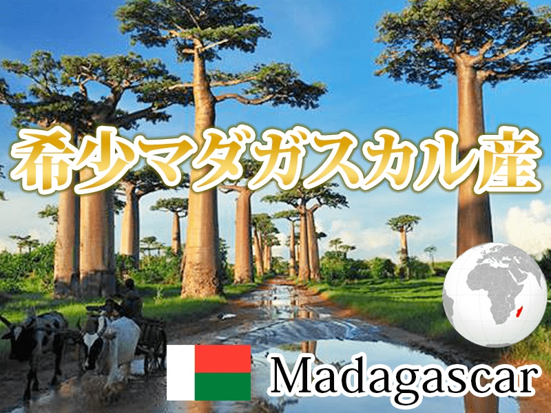 マダガスカル産