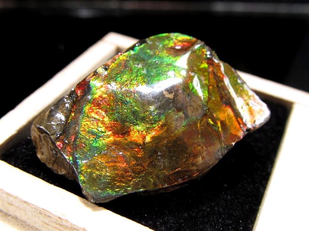 アンモライト 原石 KORITE 化石 宝石