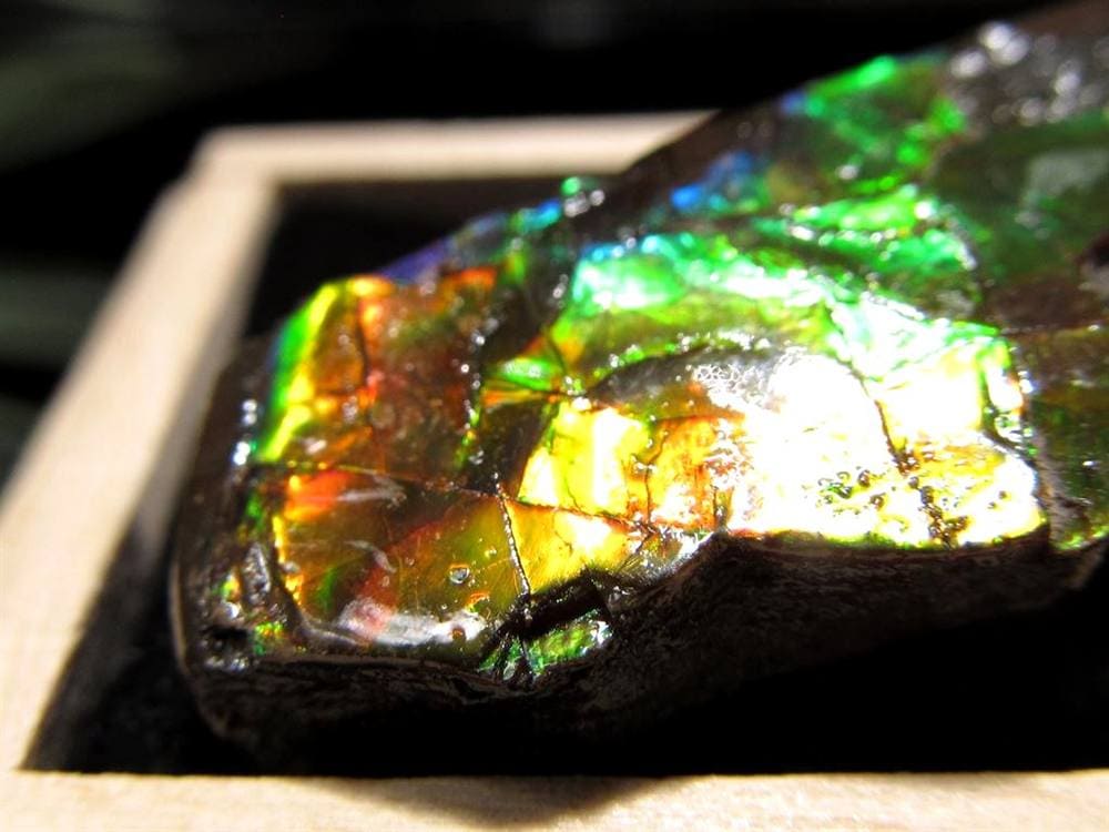 アンモライト 原石 KORITE 化石 宝石