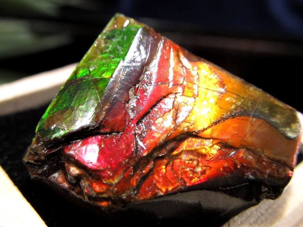 アンモライト 原石 KORITE 化石 宝石