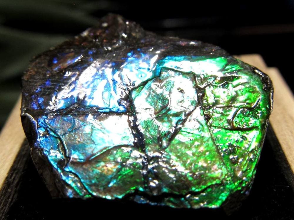 アンモライト 原石 KORITE 化石 宝石