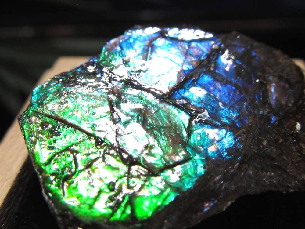 アンモライト 原石 KORITE 化石 宝石