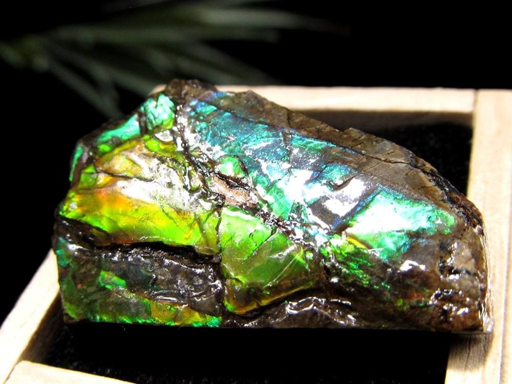 アンモライト 原石 KORITE 化石 宝石