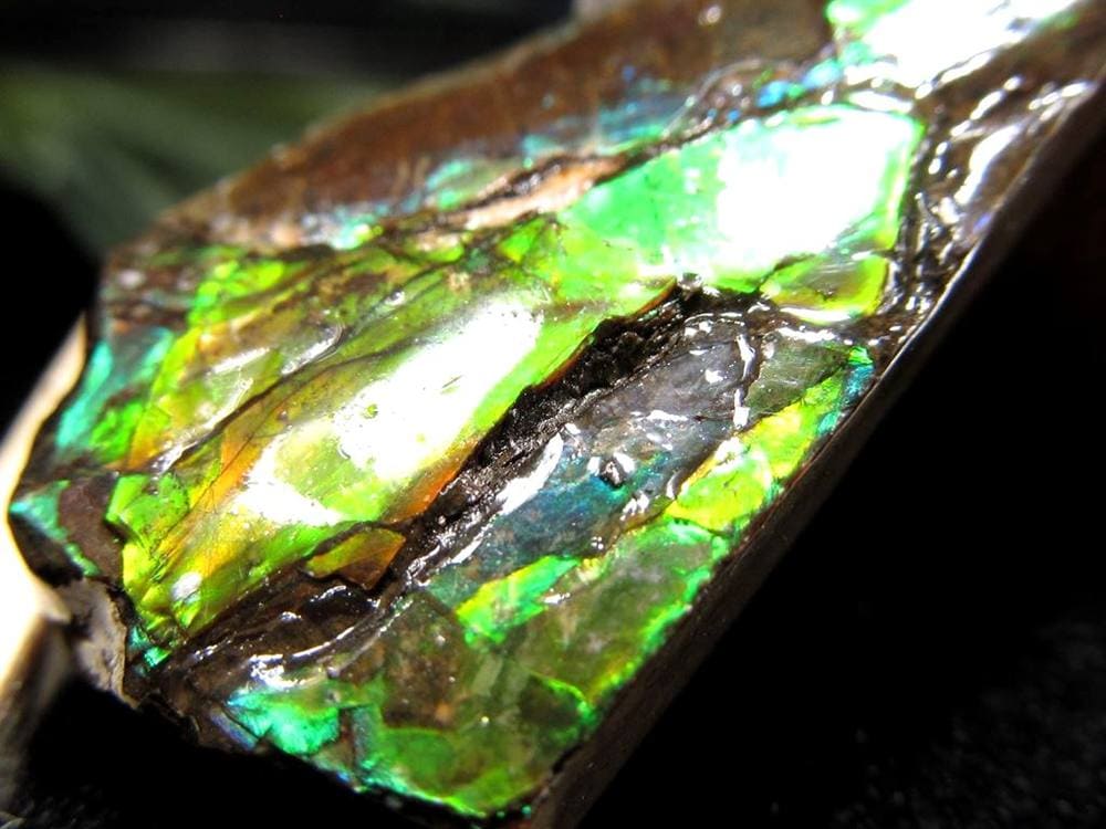 アンモライト 原石 KORITE 化石 宝石