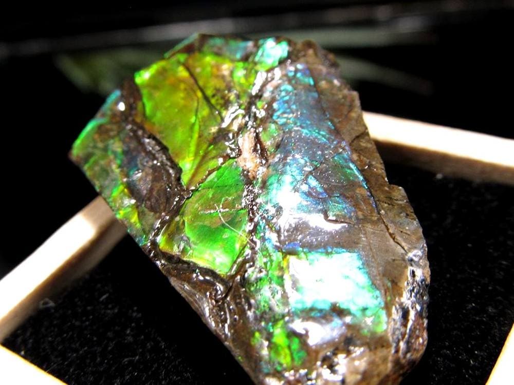 アンモライト 原石 KORITE 化石 宝石