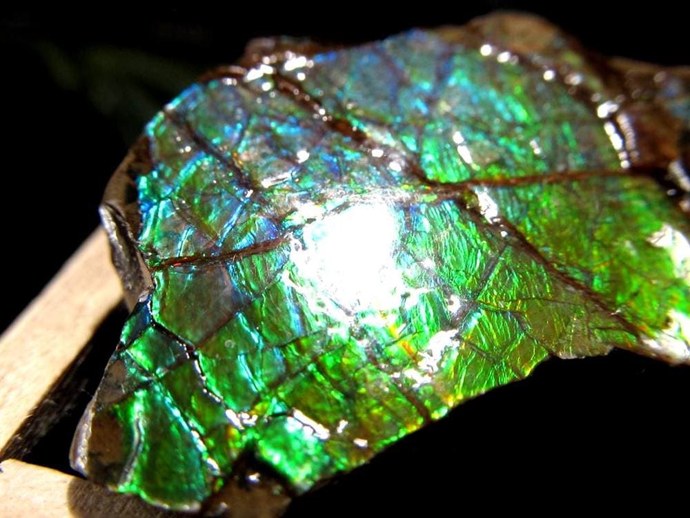 アンモライト 原石 KORITE 化石 宝石