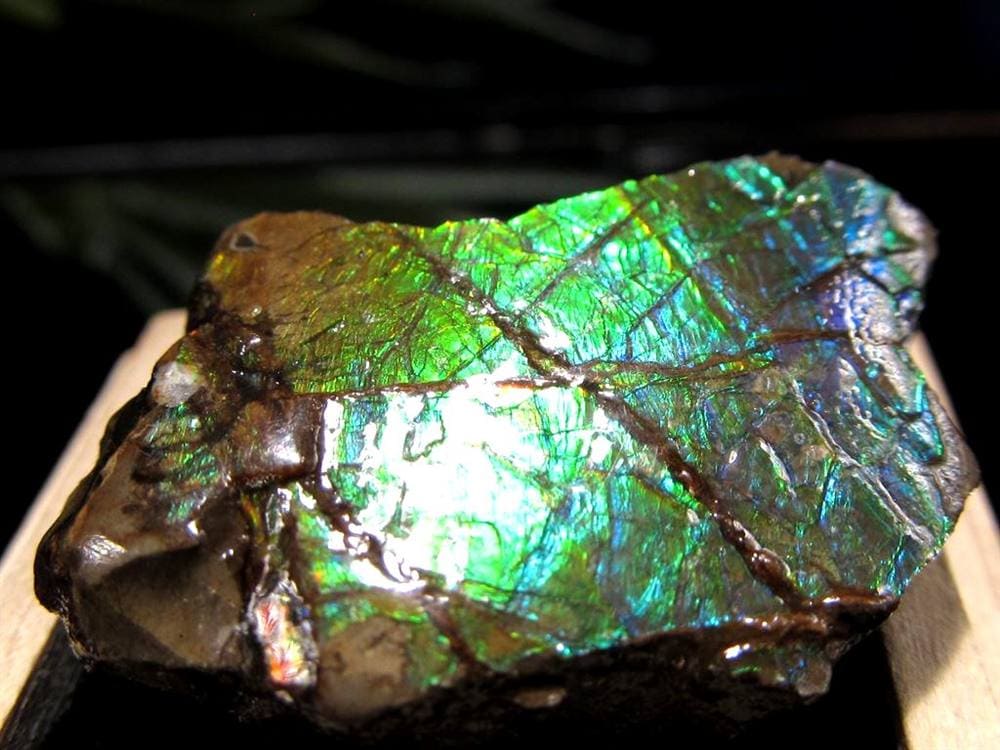 アンモライト 原石 KORITE 化石 宝石