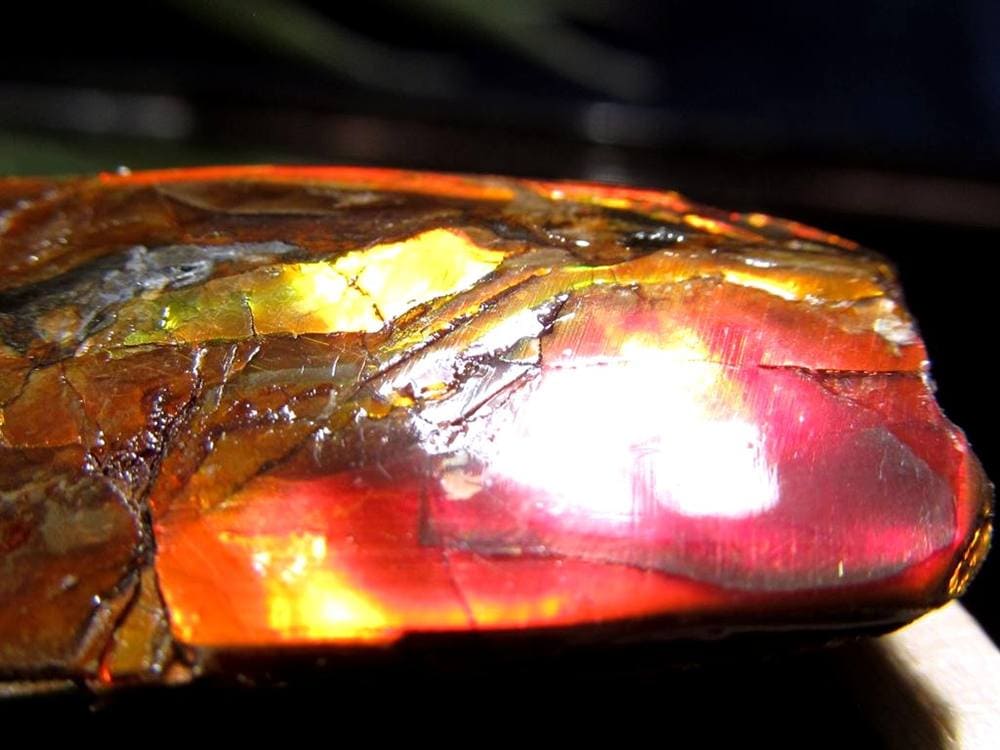 アンモライト 原石 KORITE 化石 宝石