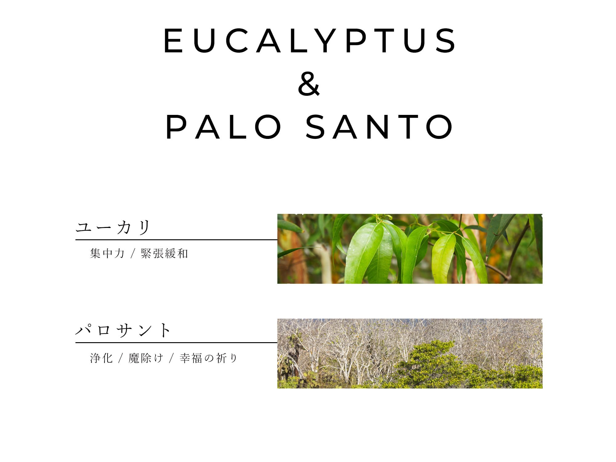 ユーカリとパロサントのスティック香