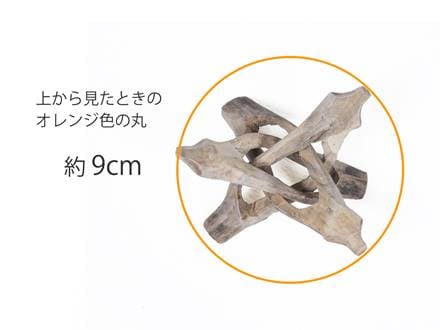 トライポッド木製シェルスタンド