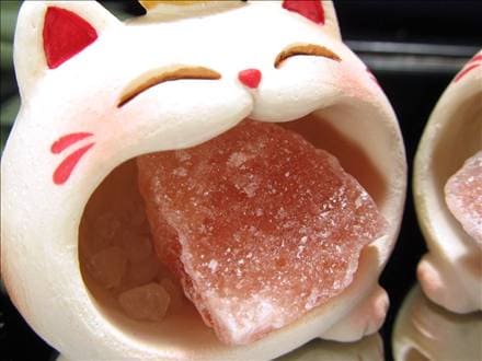 猫 招き猫 ネコ 置物