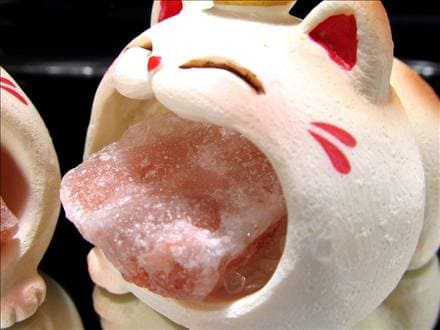 猫 招き猫 ネコ 置物