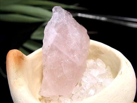 猫 招き猫 ネコ 置物