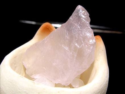 猫 招き猫 ネコ 置物