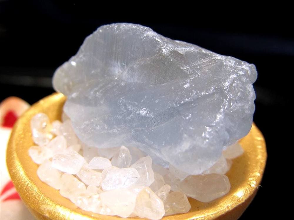 猫 招き猫 ネコ 置物