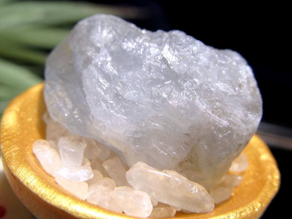 猫 招き猫 ネコ 置物