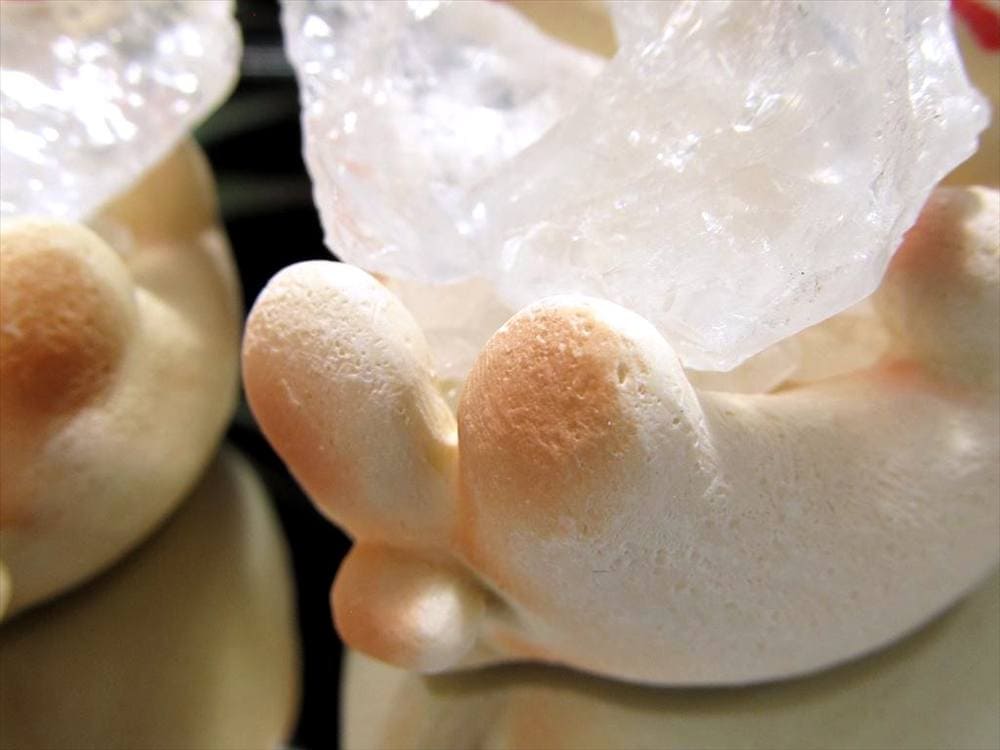 猫 招き猫 ネコ 置物