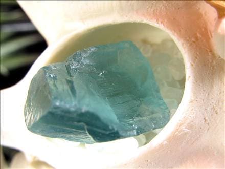 猫 招き猫 ネコ 置物