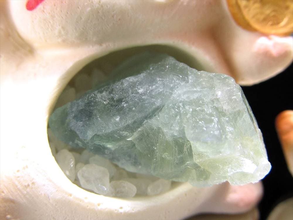 猫 招き猫 ネコ 置物