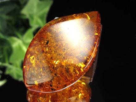 アンバー バルティックアンバー 琥珀 カボション タンブル
